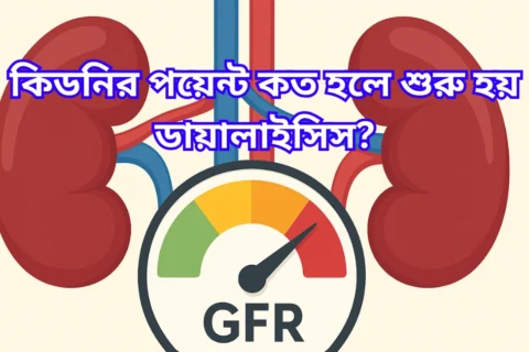 কিডনির পয়েন্ট কত হলে শুরু হয় ডায়ালাইসিস