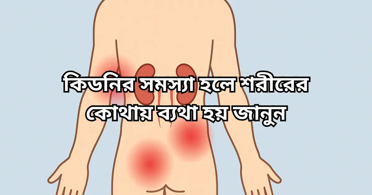 কিডনির সমস্যা হলে কোথায় কোথায় ব্যথা হয়