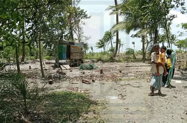 নদী গিলে খেল ভিটেমাটি, জীবন গড়তে ফের নতুন চরে