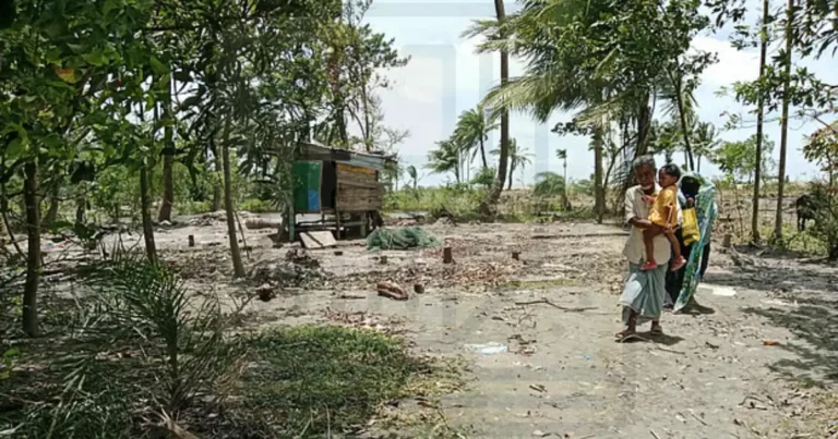 নদী গিলে খেল ভিটেমাটি, জীবন গড়তে ফের নতুন চরে