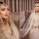 নুসরাত ফারিয়ার বধূবেশে ঝলমলে লুক, ফেসবুকে ভাইরাল