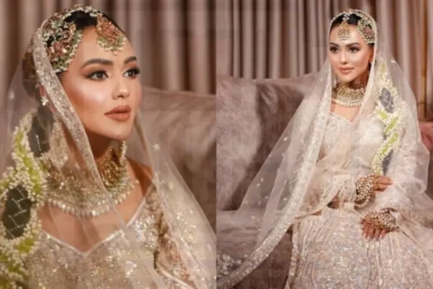 নুসরাত ফারিয়ার বধূবেশে ঝলমলে লুক, ফেসবুকে ভাইরাল