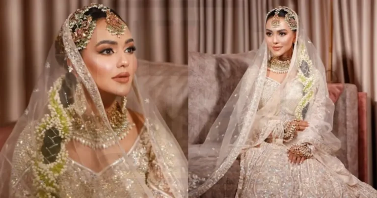 নুসরাত ফারিয়ার বধূবেশে ঝলমলে লুক, ফেসবুকে ভাইরাল