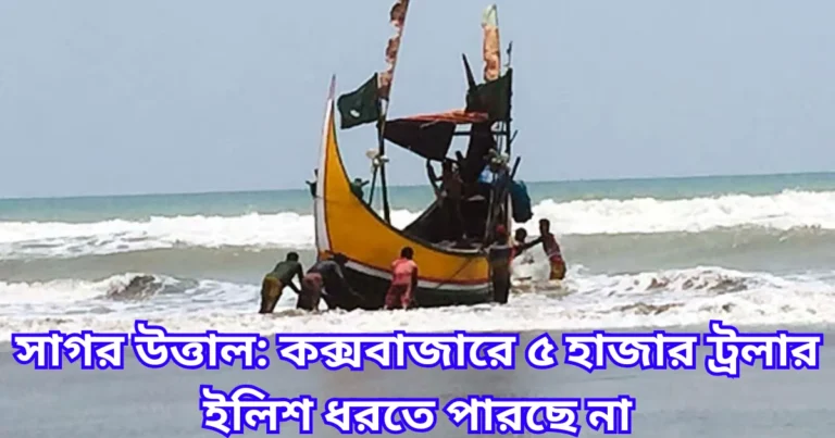 সাগর উত্তাল কক্সবাজারে ৫ হাজার ট্রলার ইলিশ ধরতে পারছে না